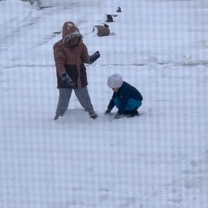 Meet your Posher, Yam